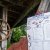 20150628-DSC_1102
