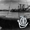1987_Spusk_kocha