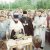 1989 год.  Молебен и освящение коча 'Помор' и лодьи 'Грумант' к экспедиции 'Путь на Грумант'
