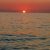 Photo25_1_1