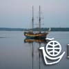 brig11