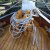 20141003-IMG_6169